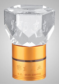 玻璃蓋-003  
