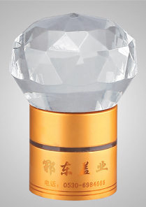 玻璃蓋-005  